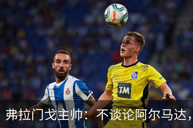 弗拉门戈主帅：不谈论阿尔马达，讨论非本队球员不是我的职责