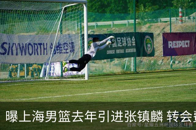 曝上海男篮去年引进张镇麟 转会费投入超5000万