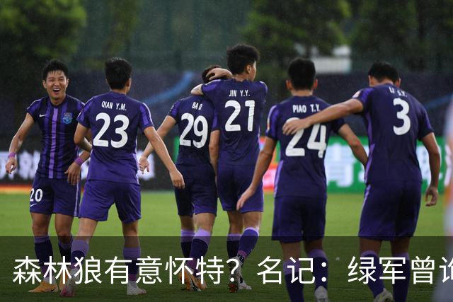 森林狼有意怀特？名记：绿军曾询价戈贝尔被拒绝 他和怀特能配平
