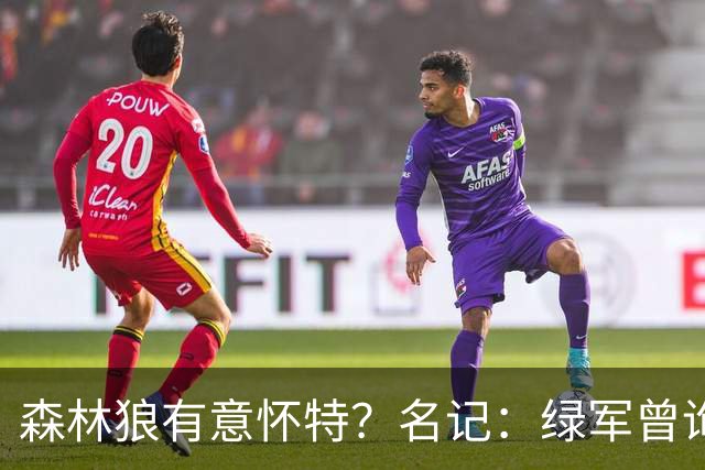 森林狼有意怀特？名记：绿军曾询价戈贝尔被拒绝 他和怀特能配平