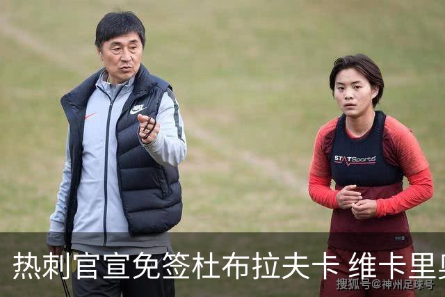 热刺官宣免签杜布拉夫卡 维卡里奥接近离队意甲双雄有意