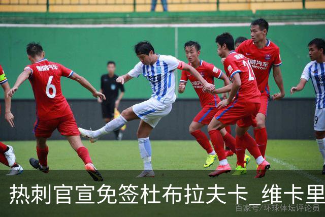 热刺官宣免签杜布拉夫卡 维卡里奥接近离队意甲双雄有意