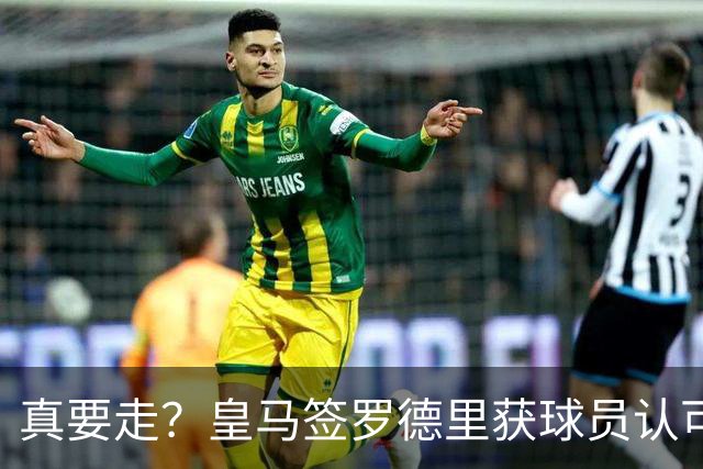 真要走？皇马签罗德里获球员认可 曼城是否放人取决于一先决条件
