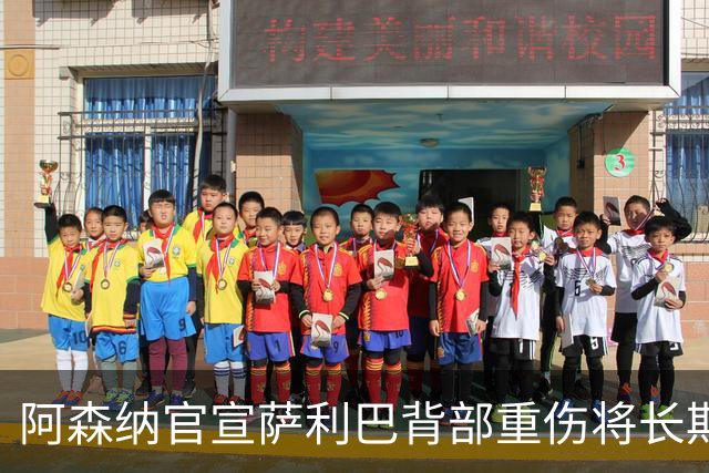 阿森纳官宣萨利巴背部重伤将长期缺阵 曾世界杯带伤硬扛半决赛30分钟伤退